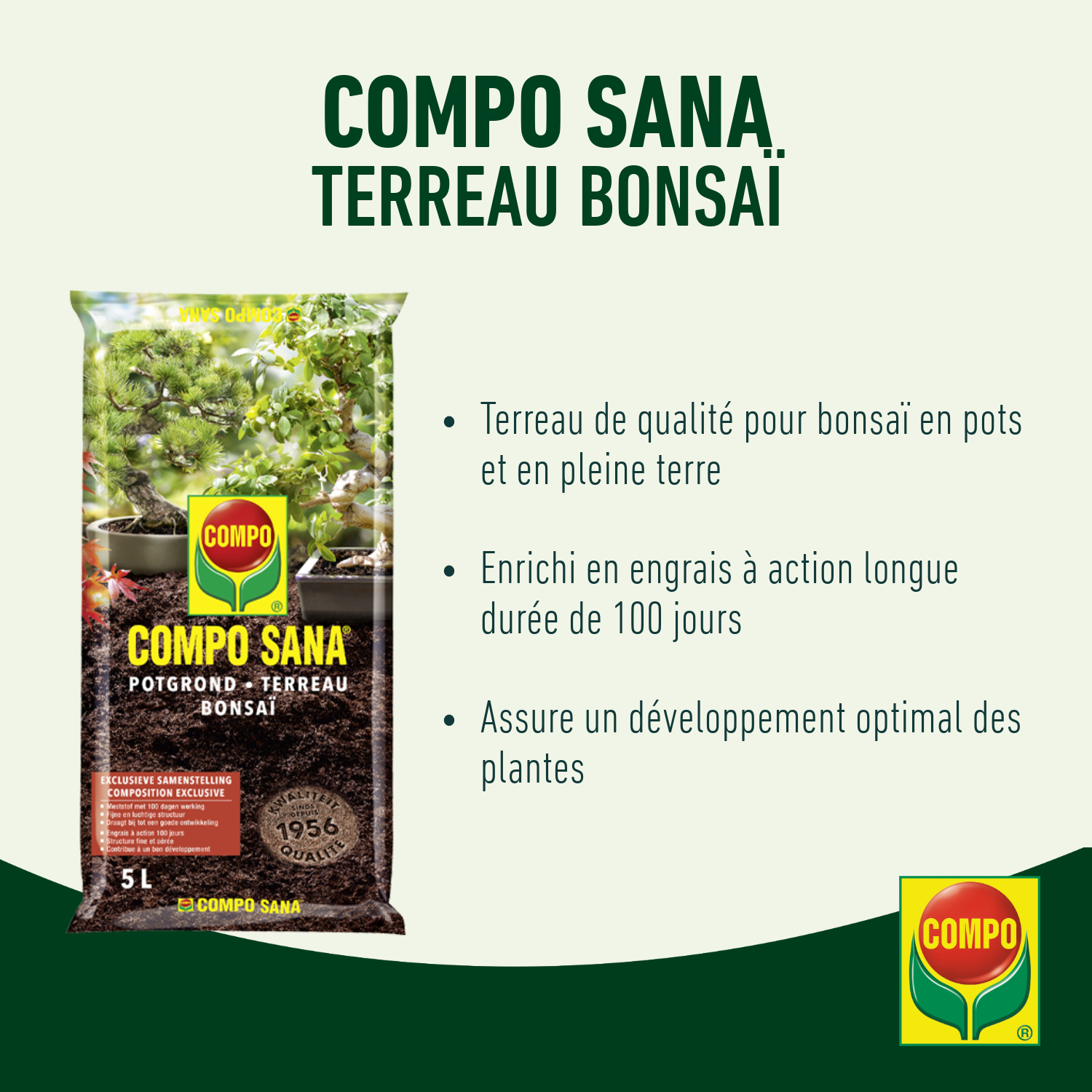 compo image