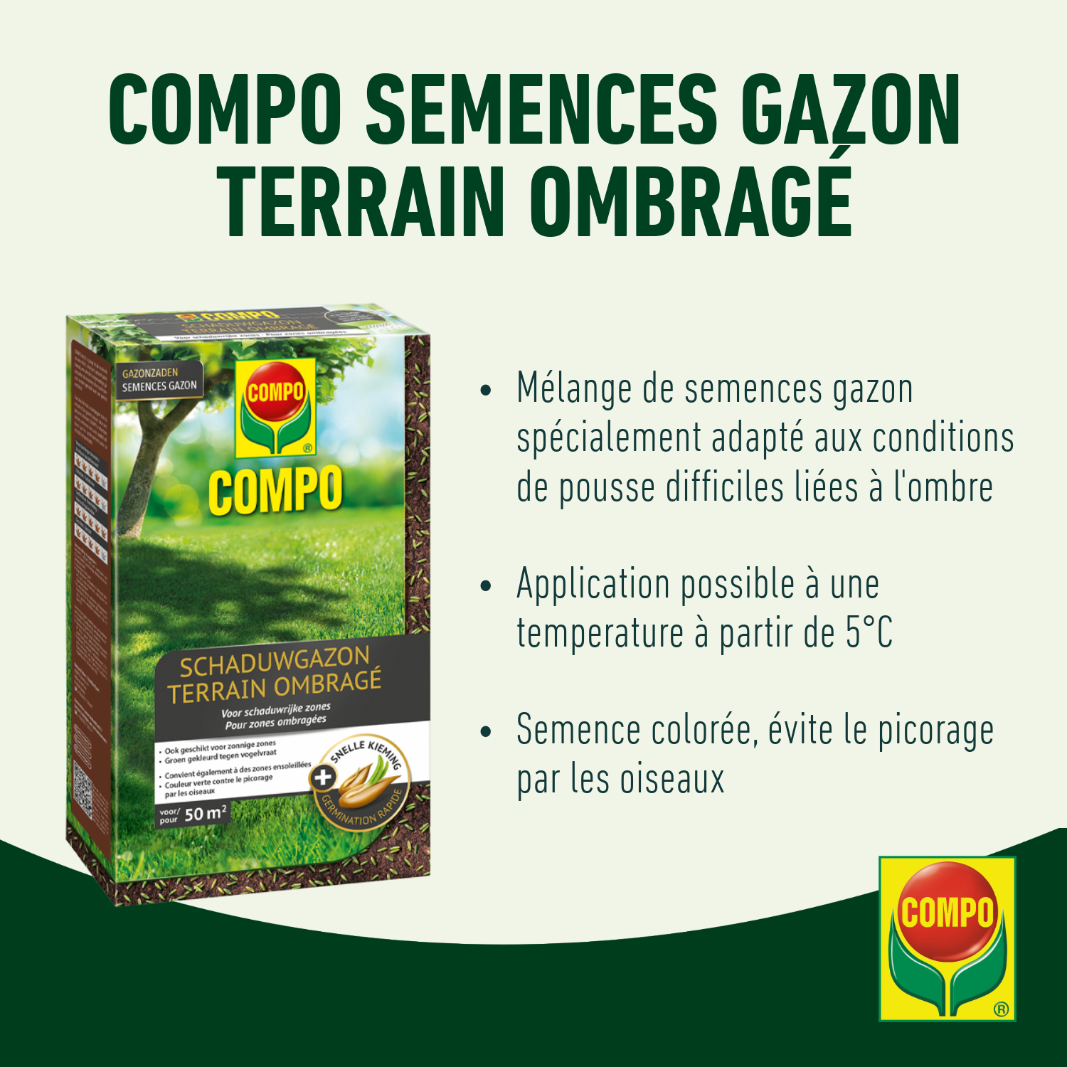 compo image