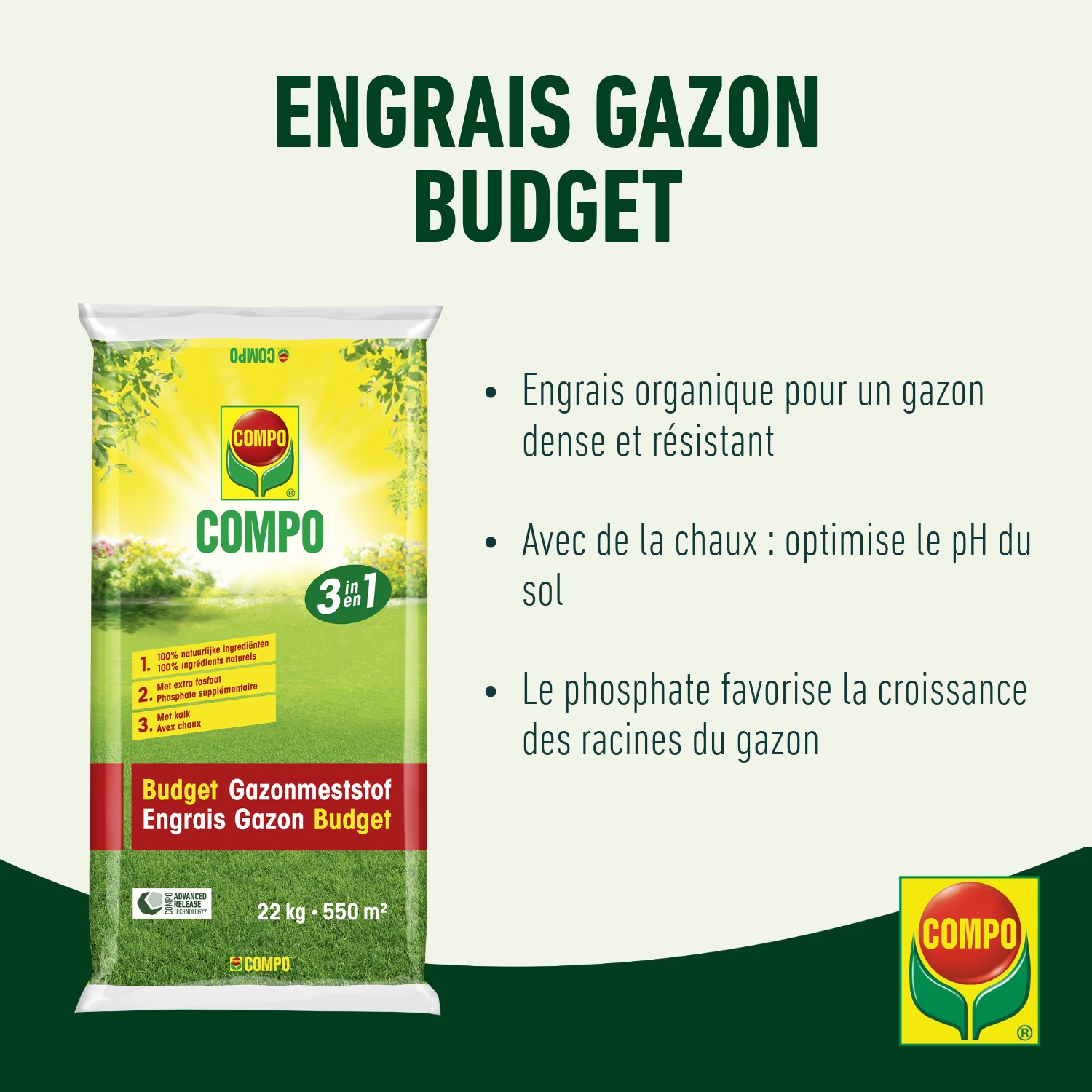 compo image