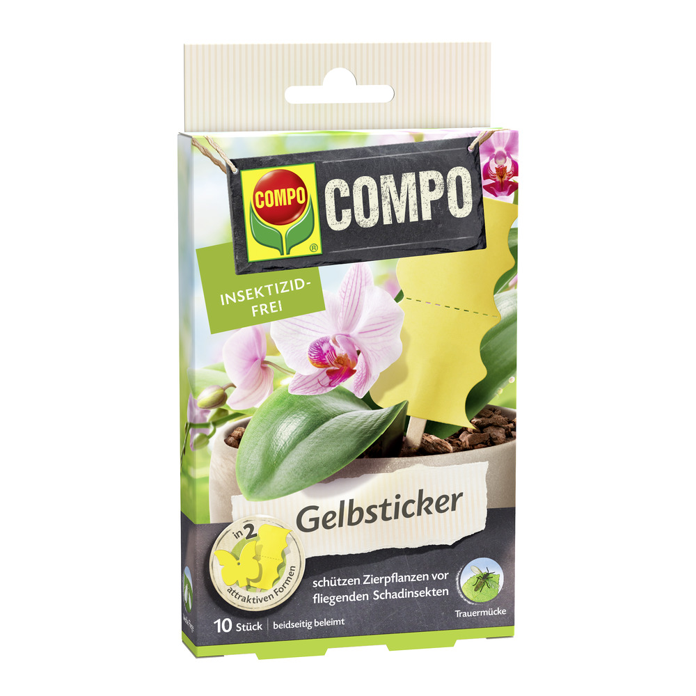 compo image