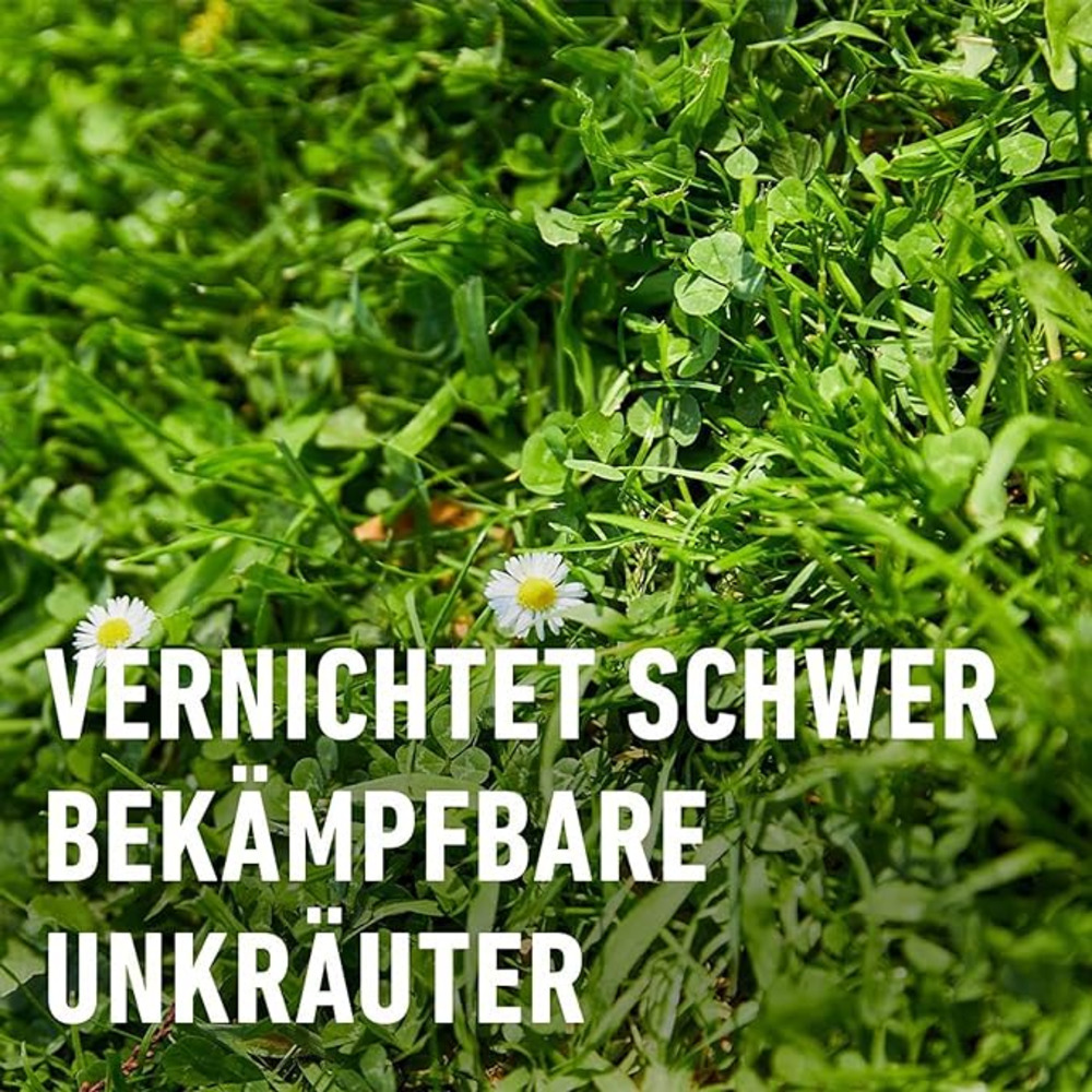 compo image