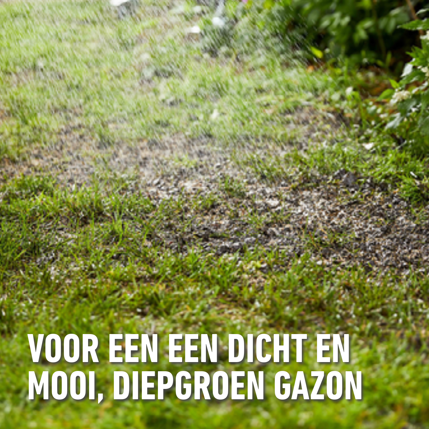 compo image