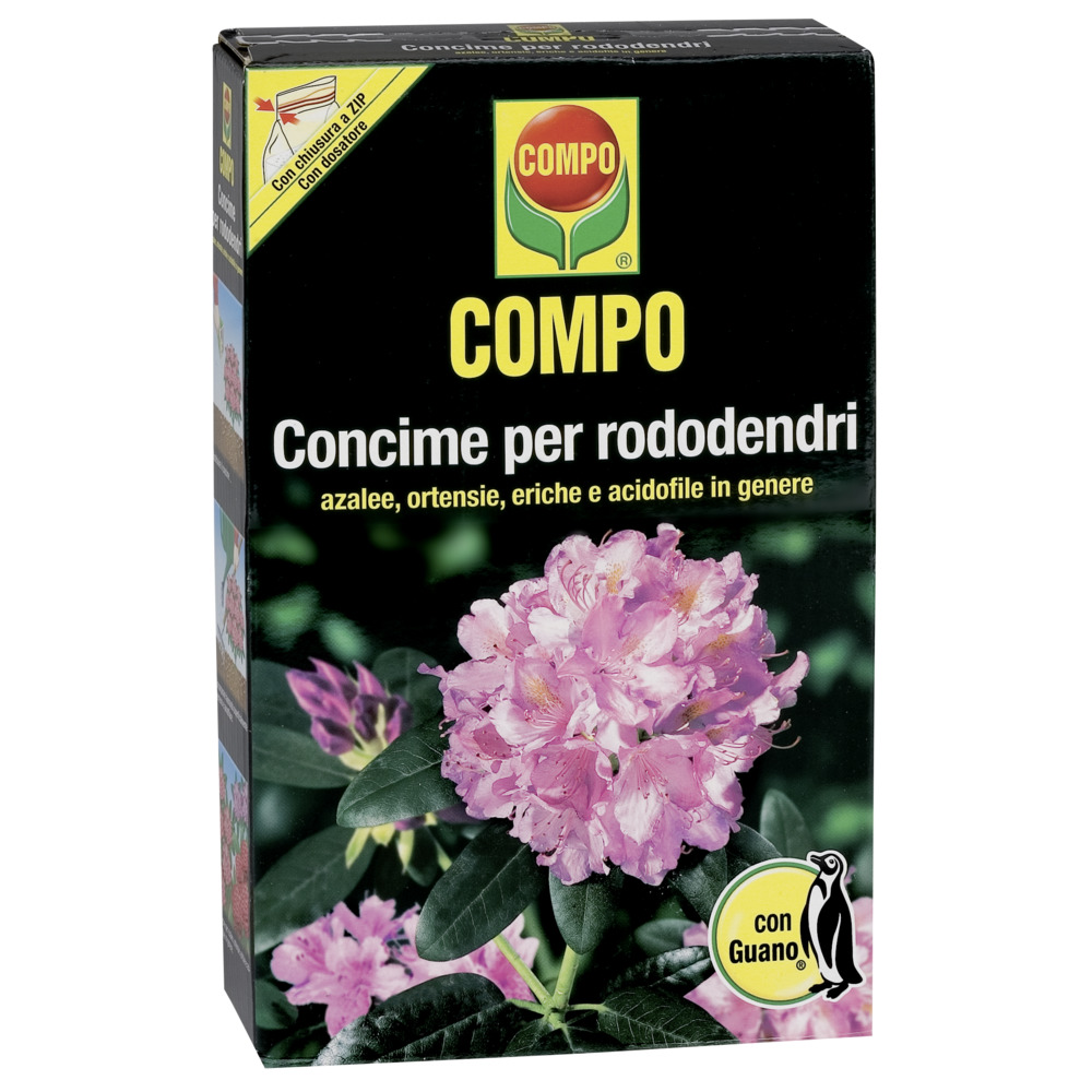 compo image