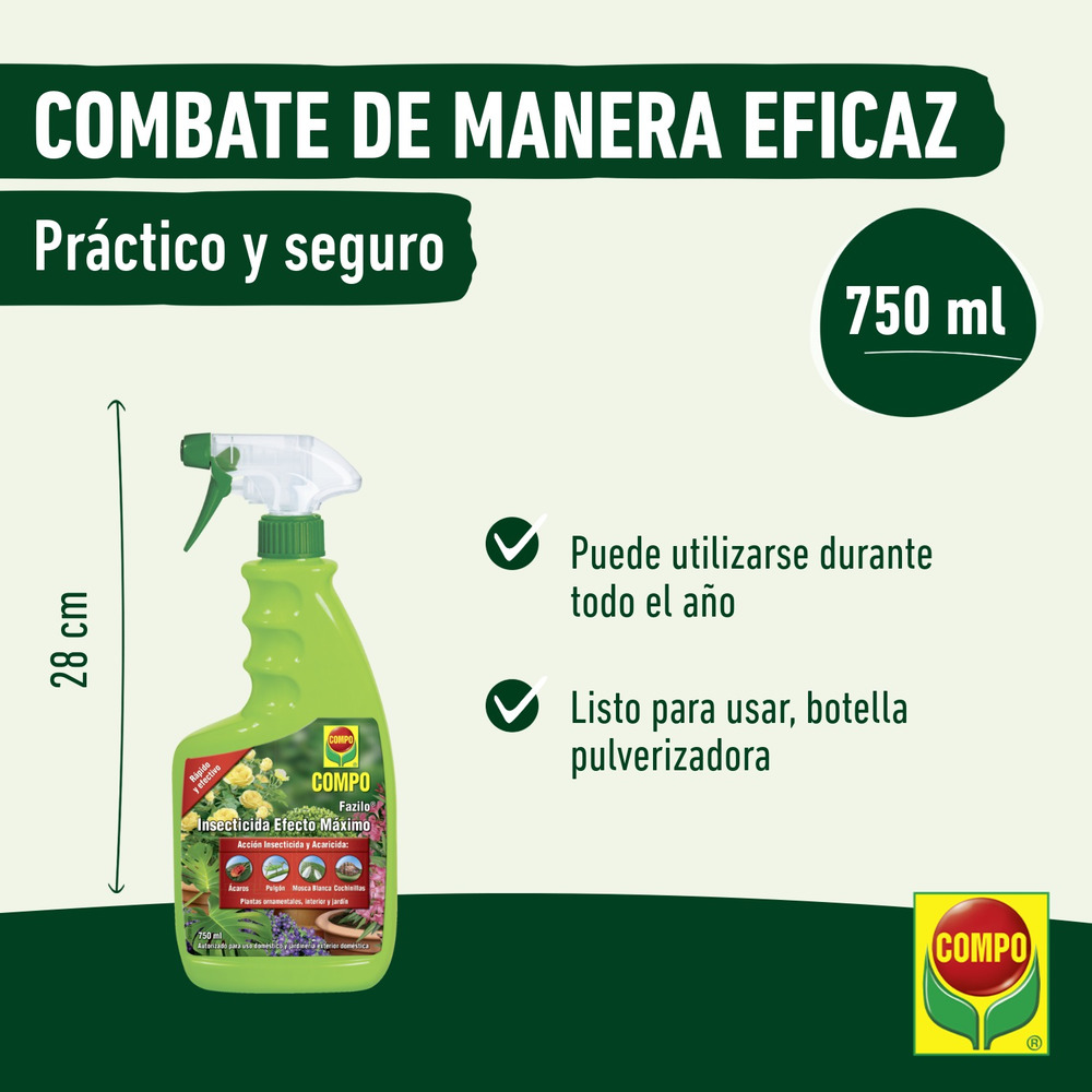 compo image