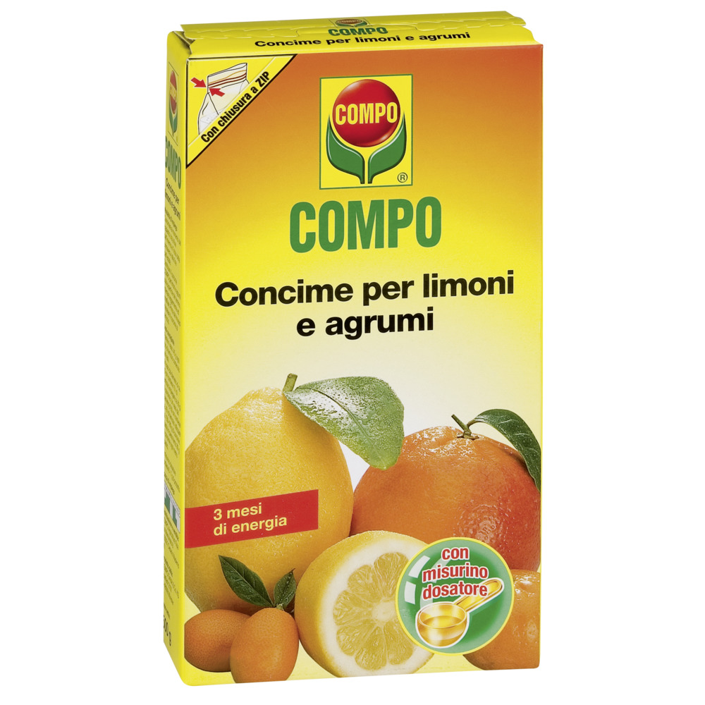 compo image