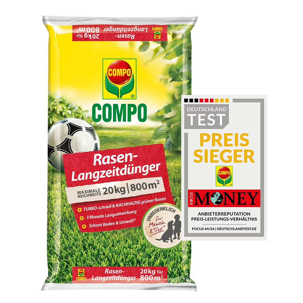 compo image