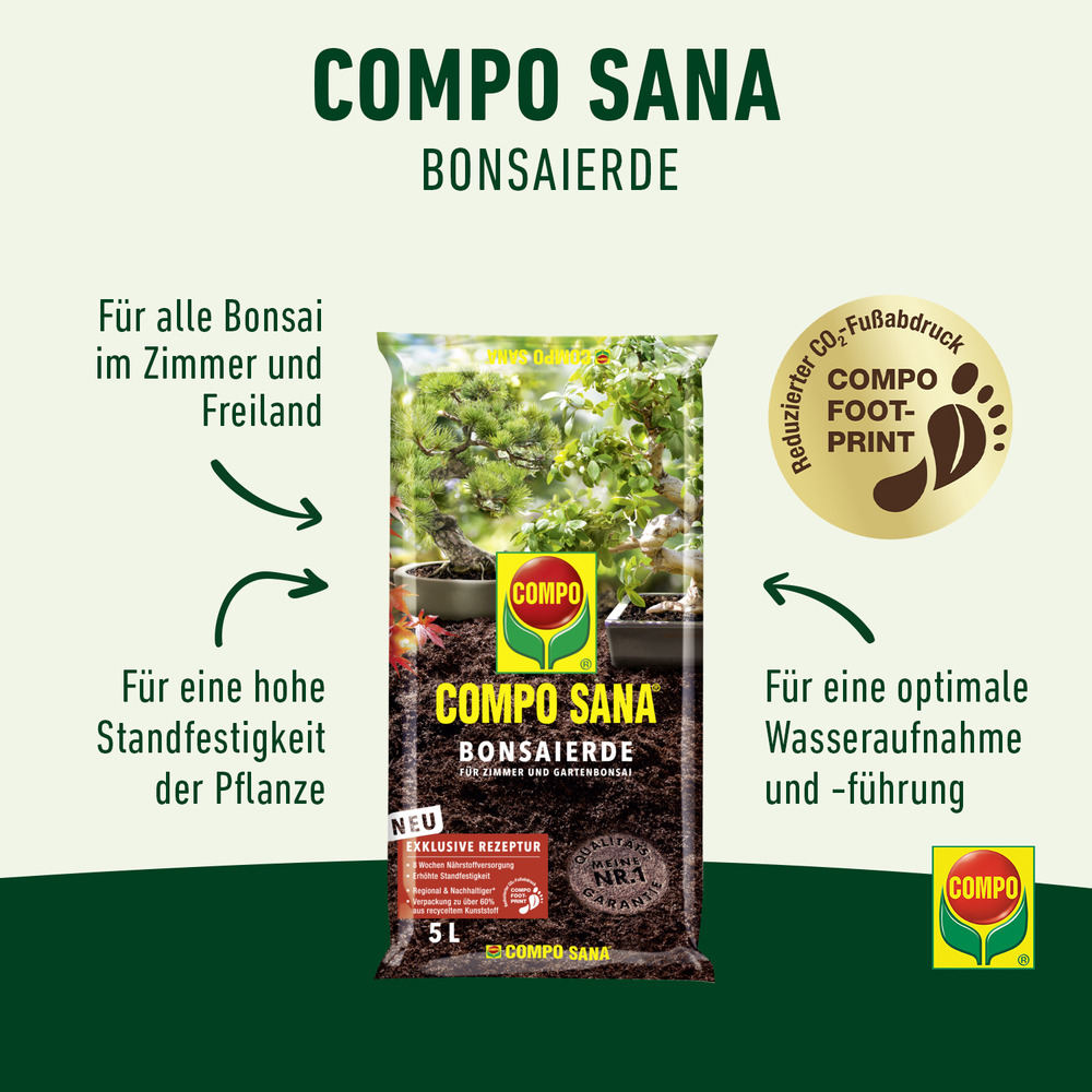 compo image