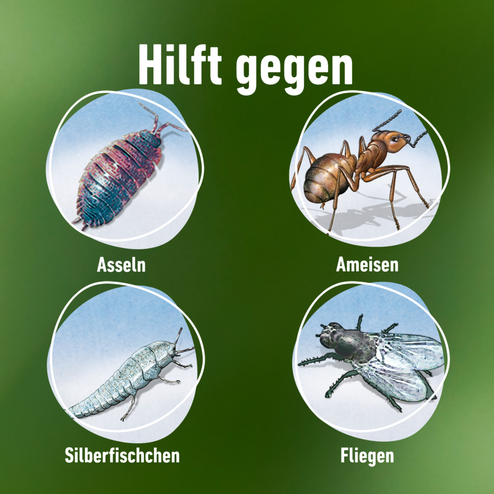 compo image