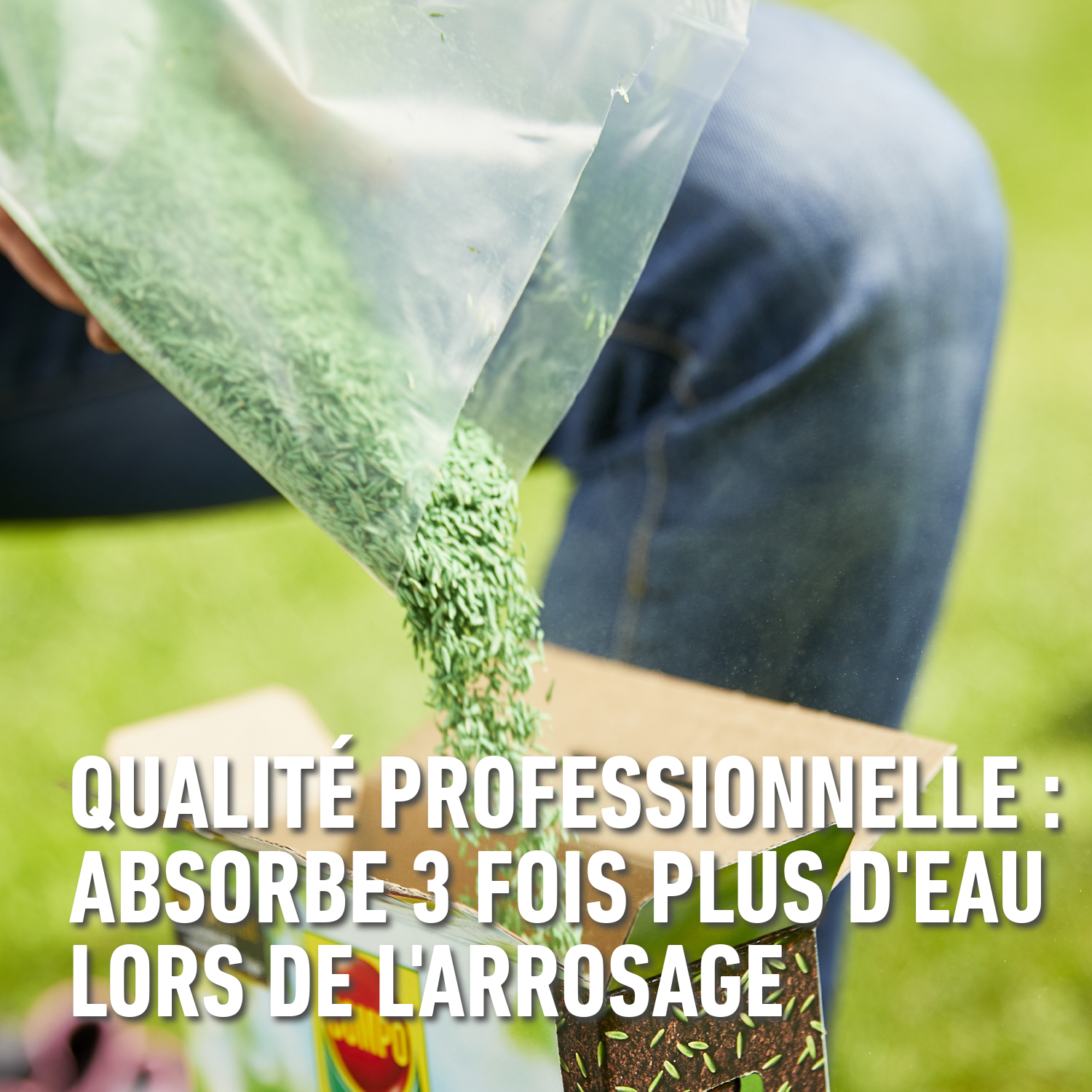 compo image