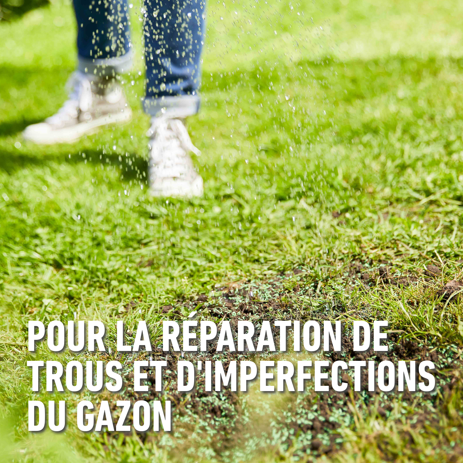 compo image