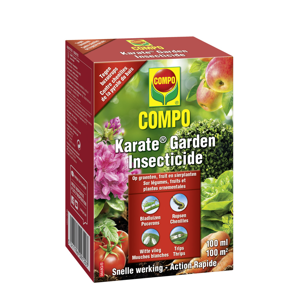 compo image