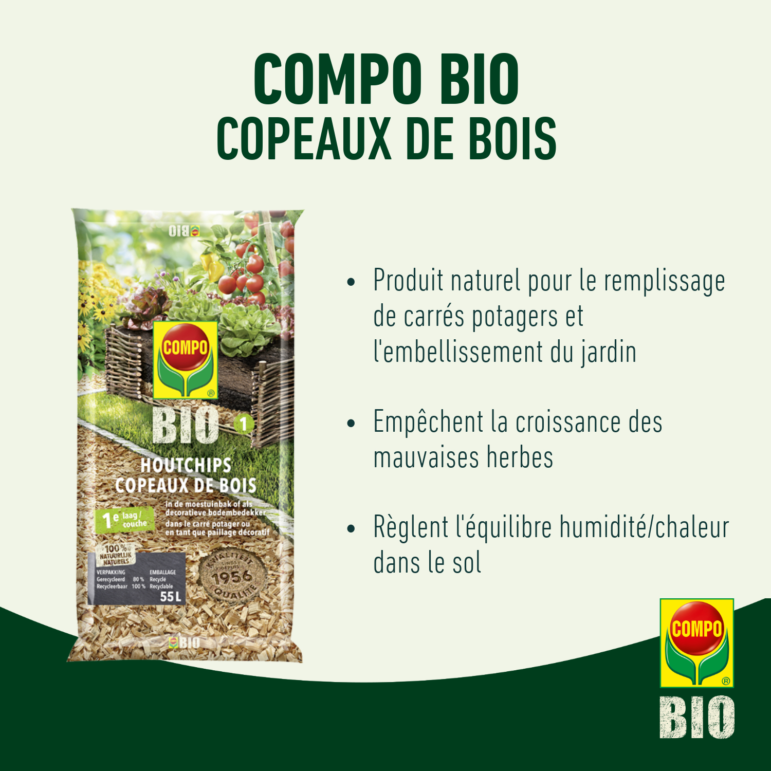 compo image