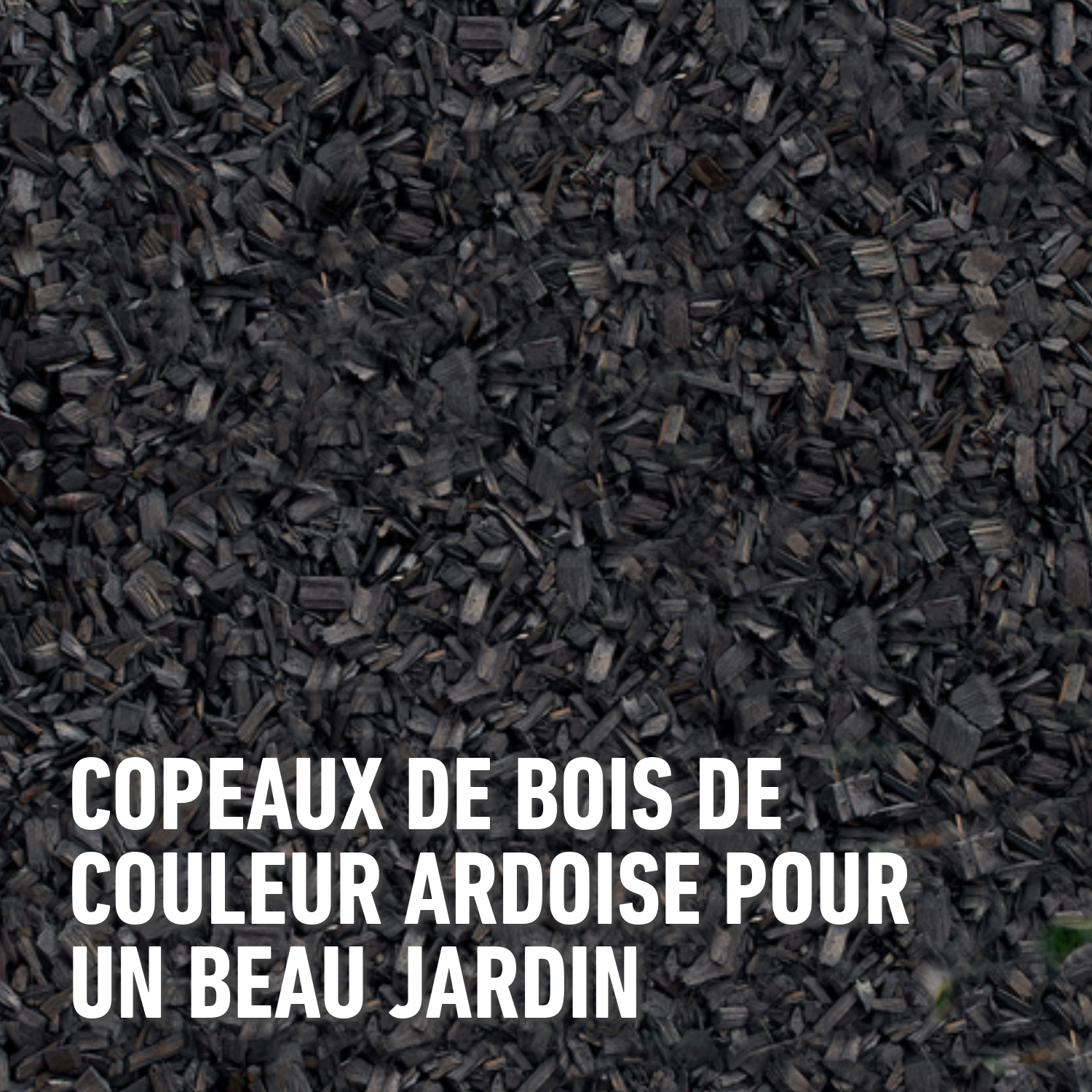 compo image