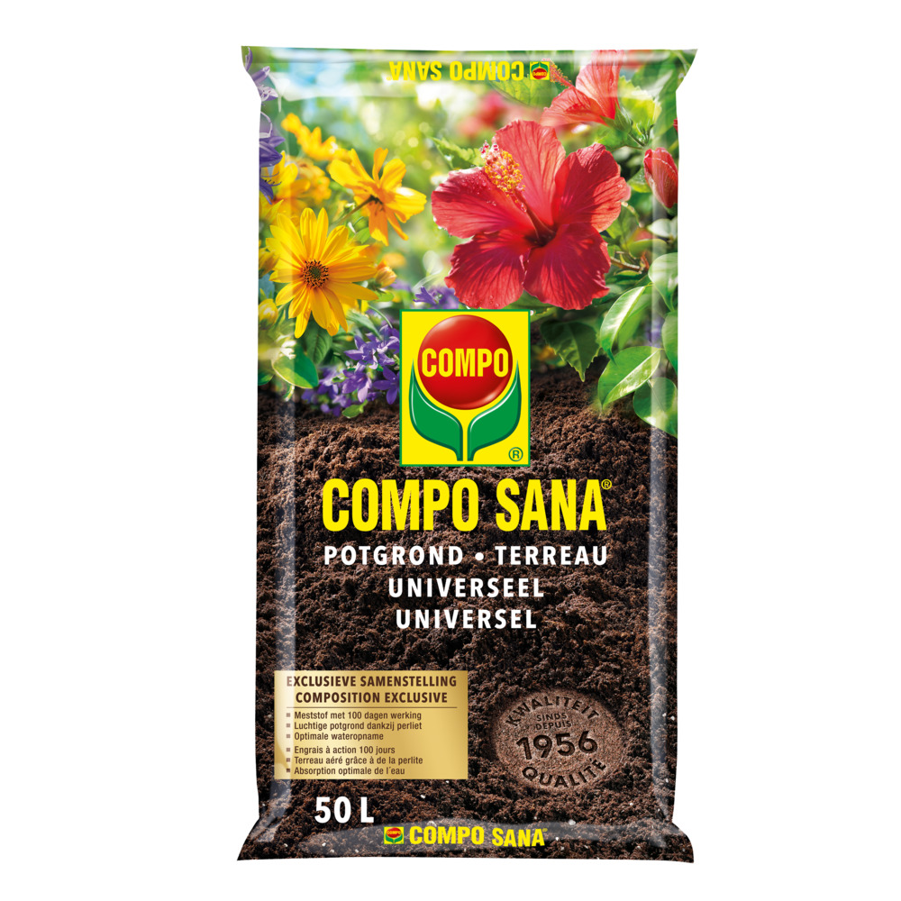 compo image