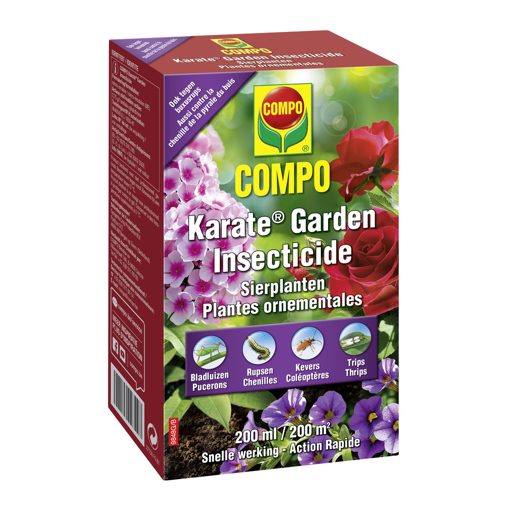 compo image