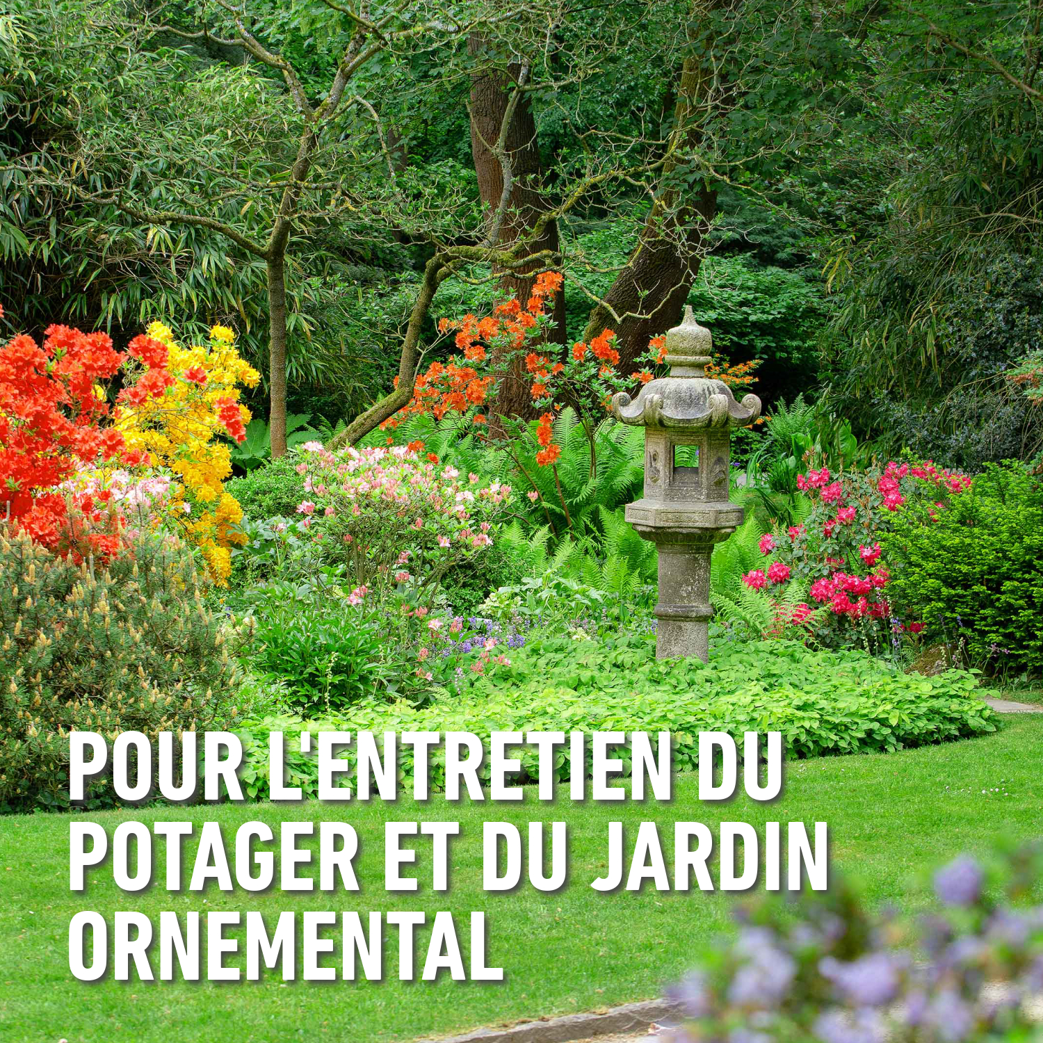 compo image
