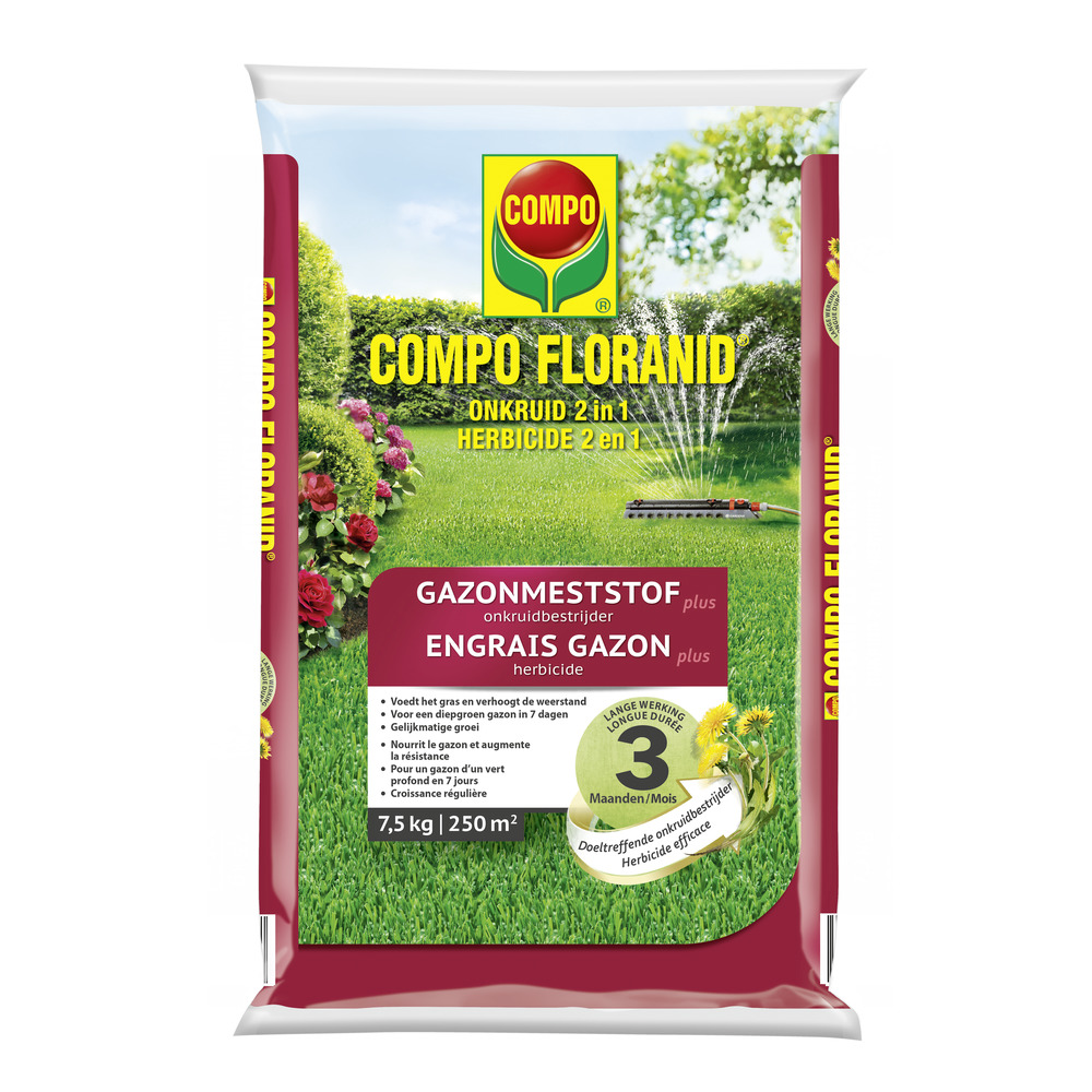 compo image
