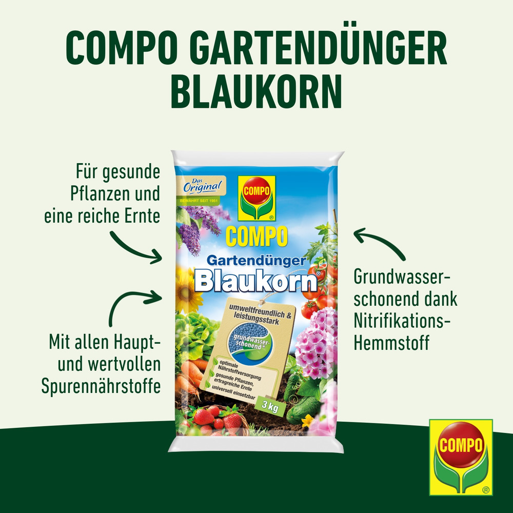 compo image
