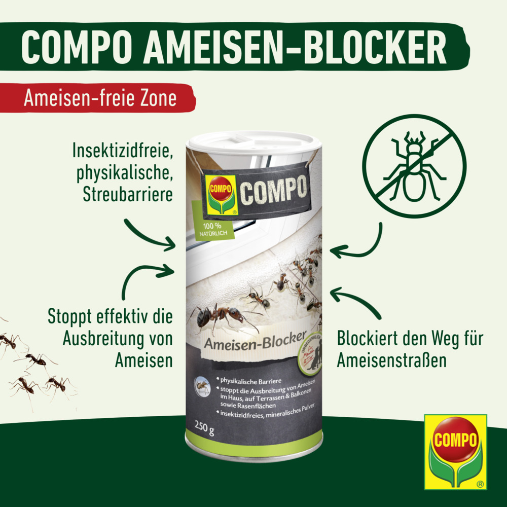 compo image