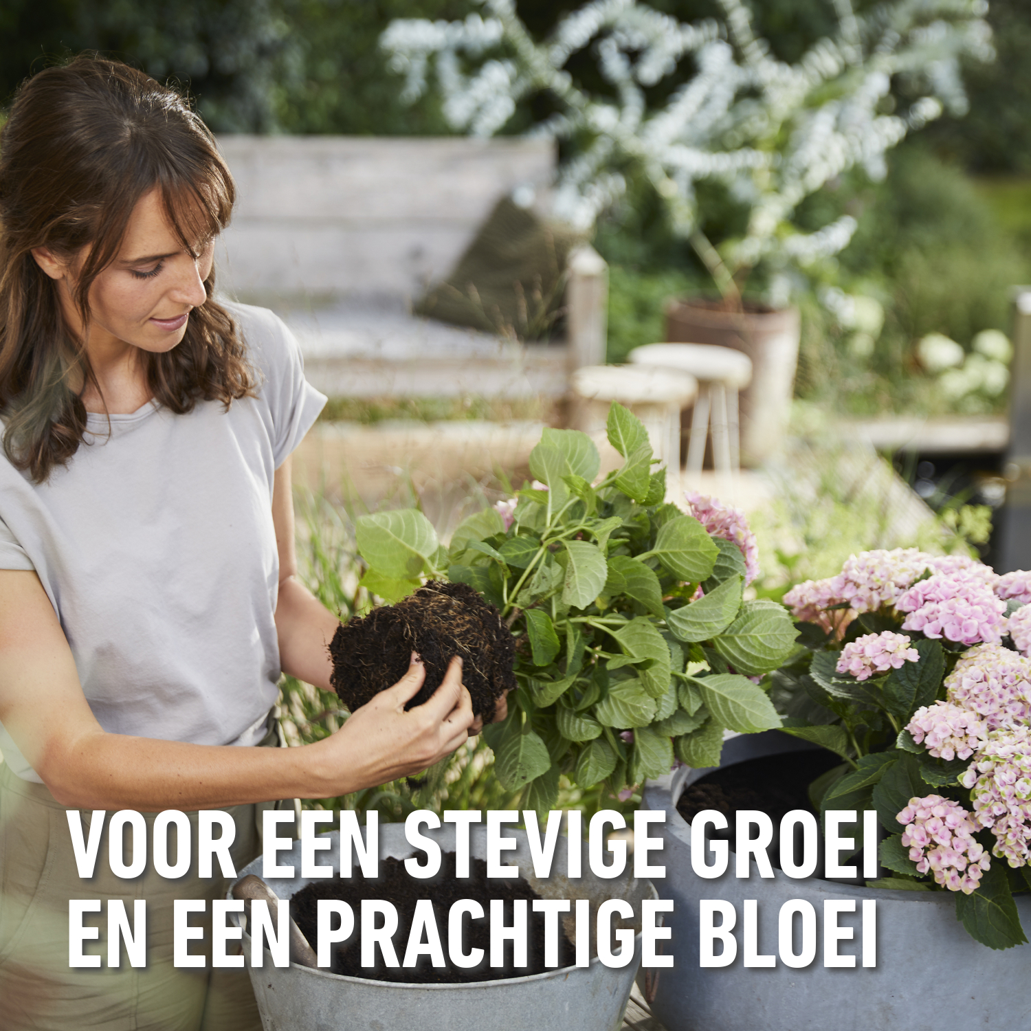 compo image