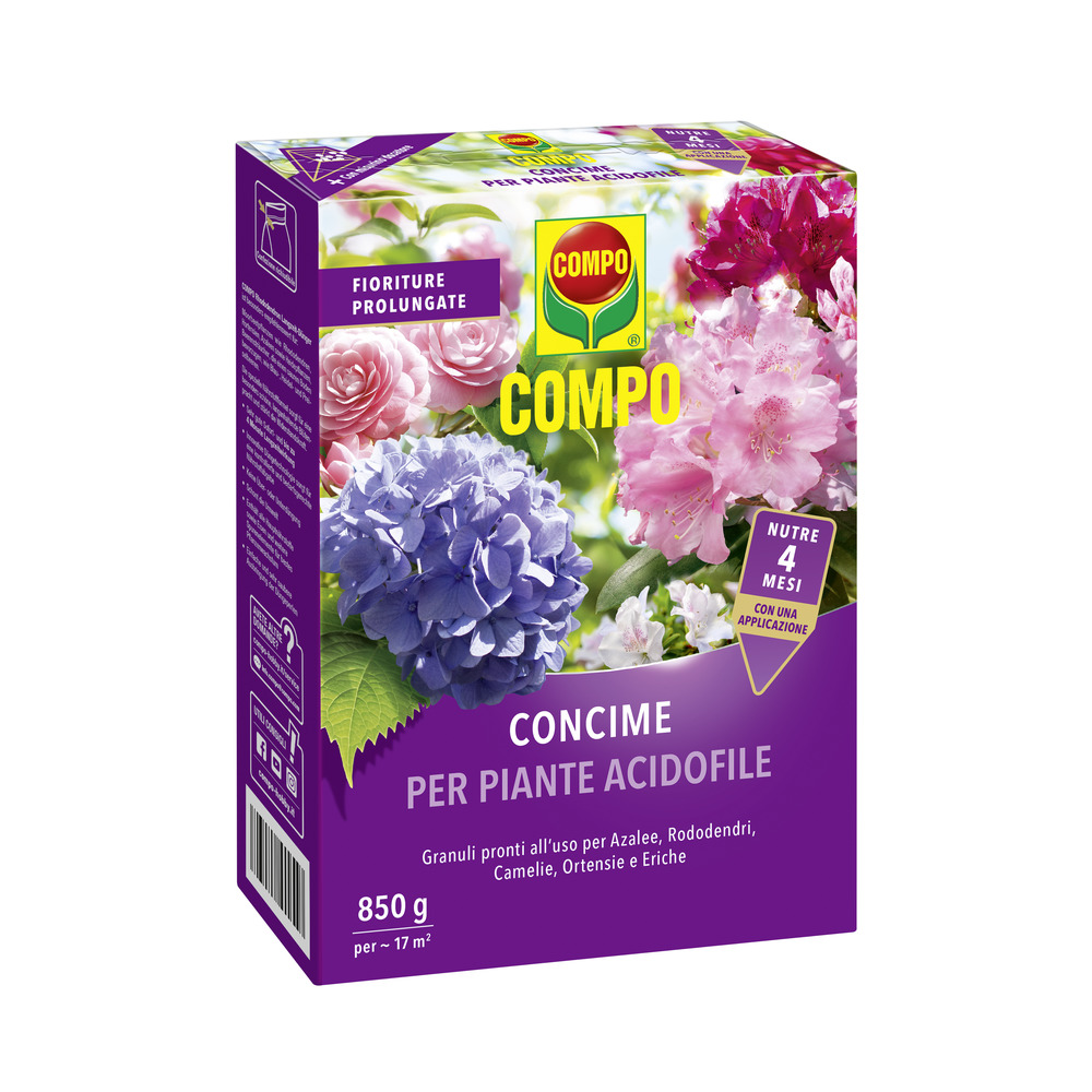 compo image