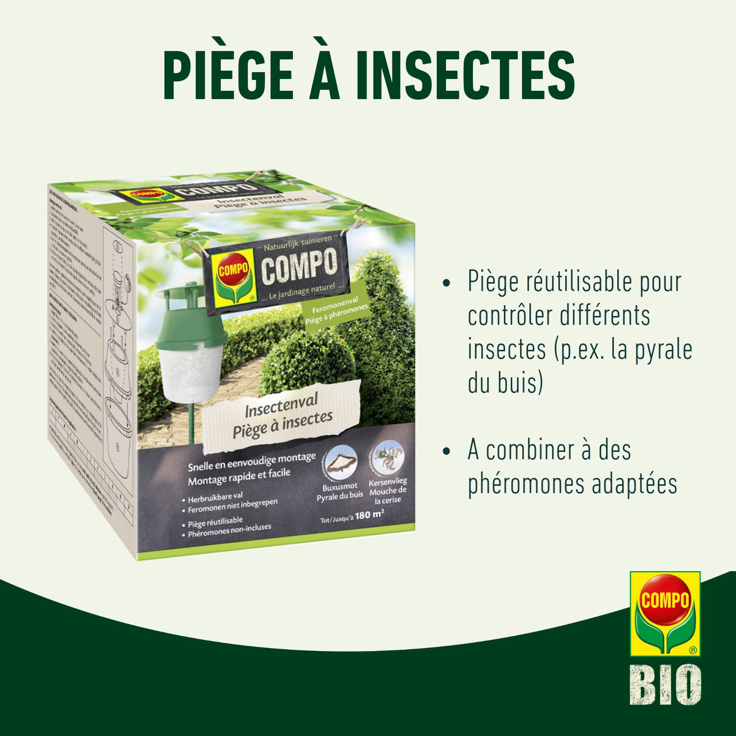 compo image