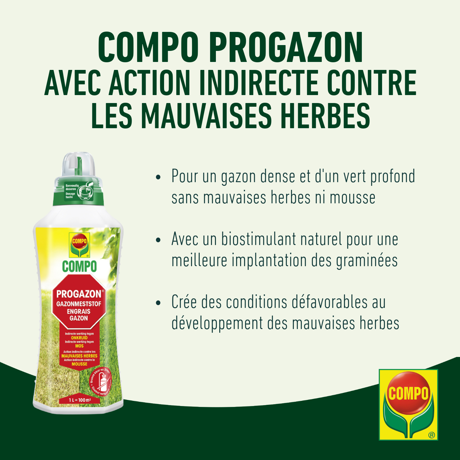 compo image