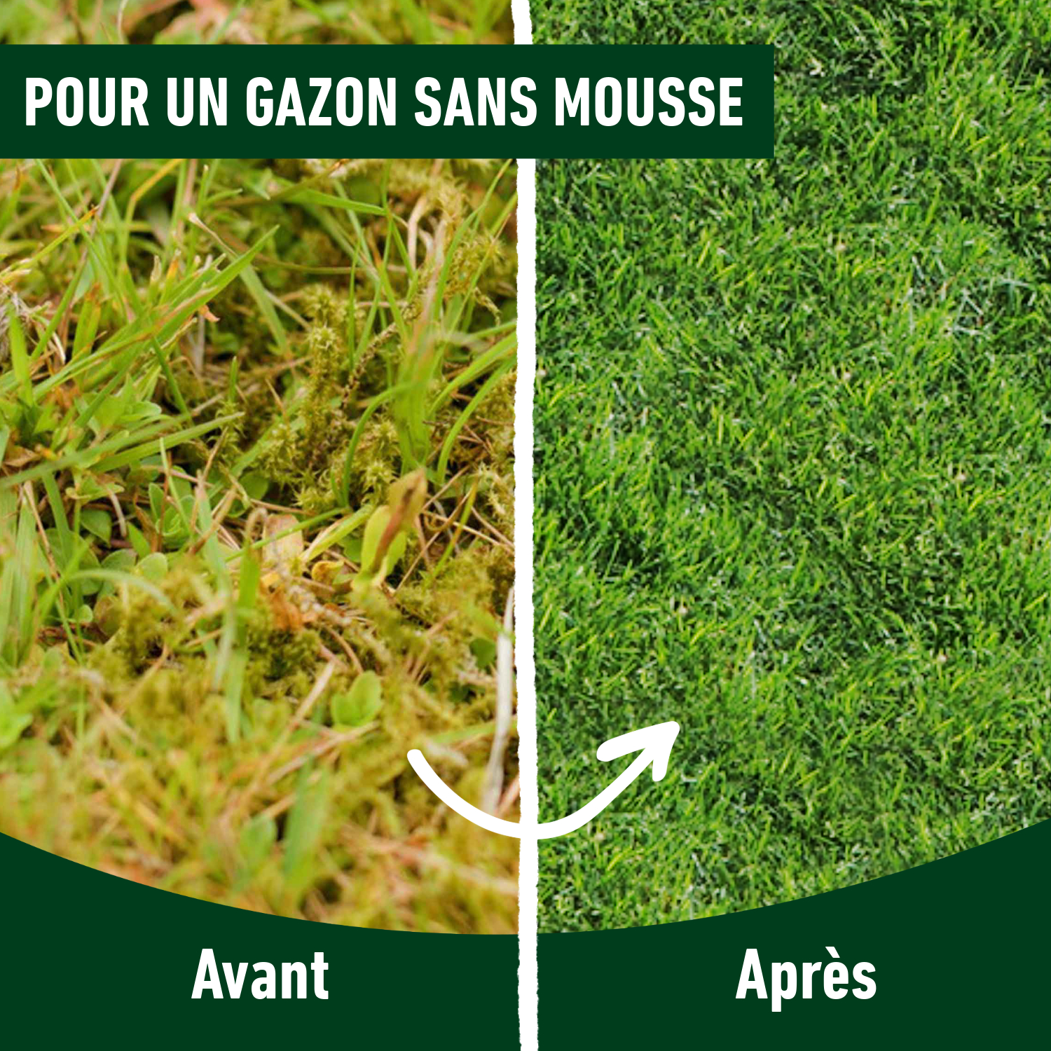 compo image