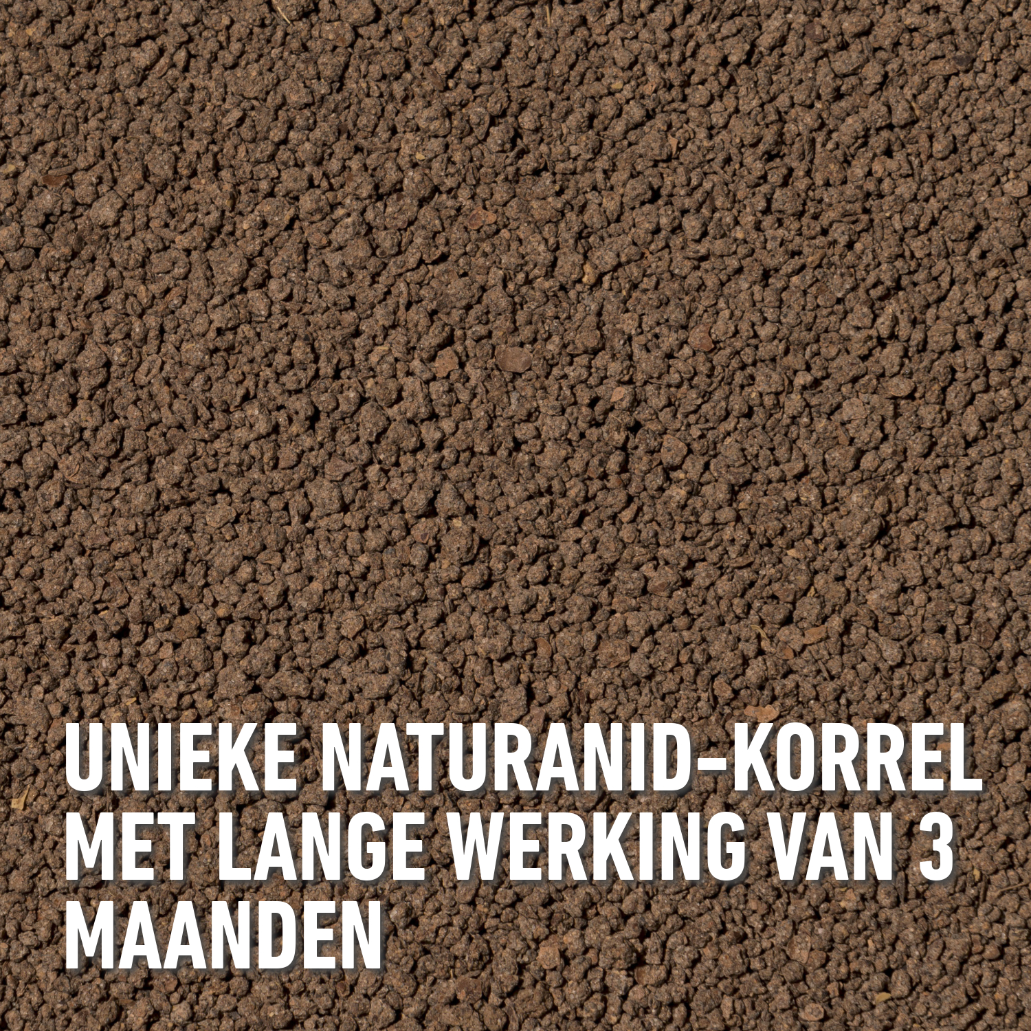 compo image