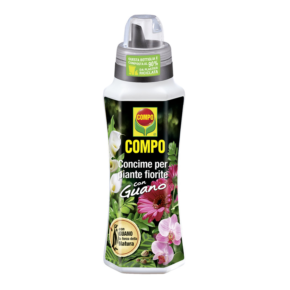 compo image