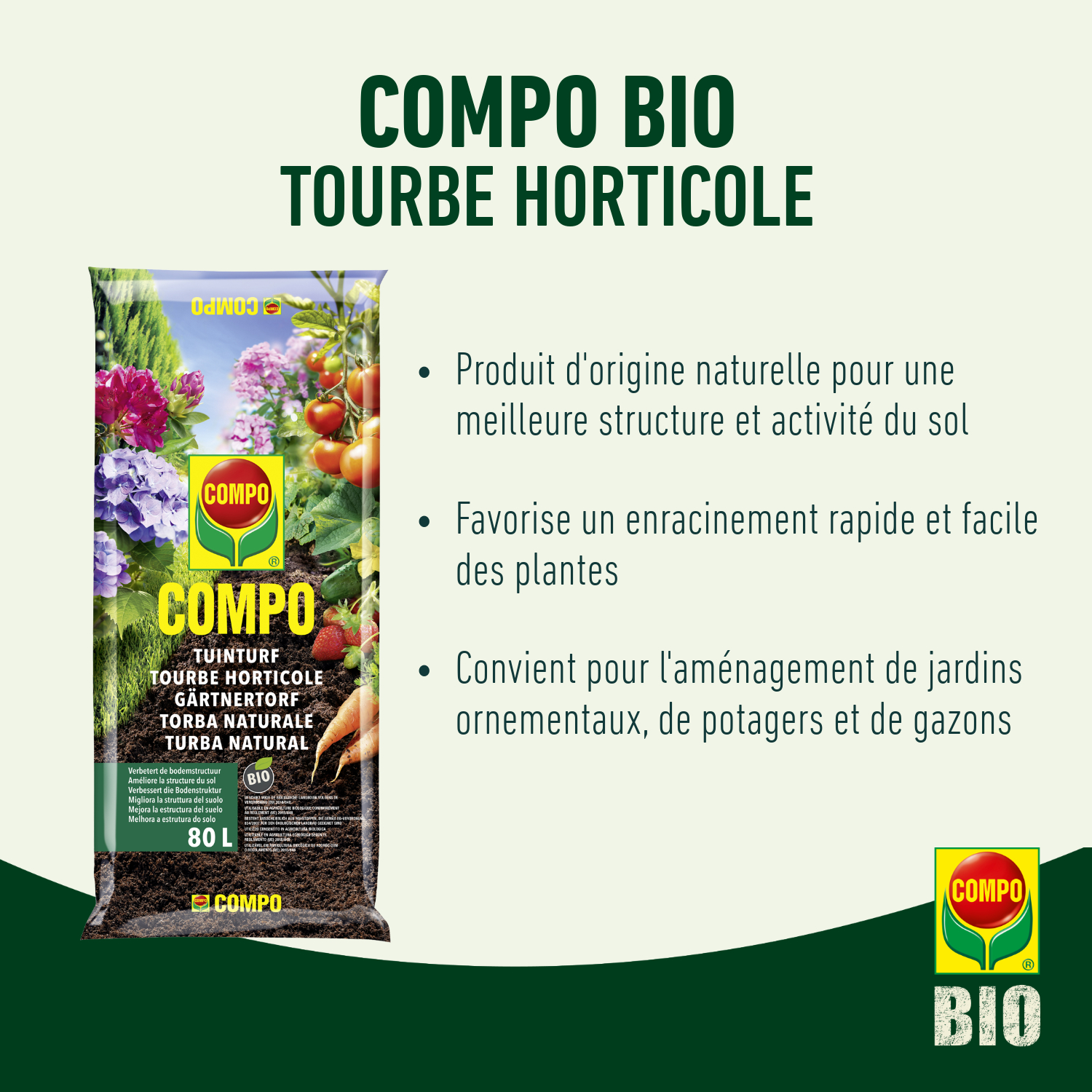 compo image