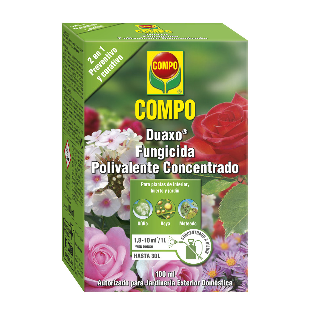 compo image