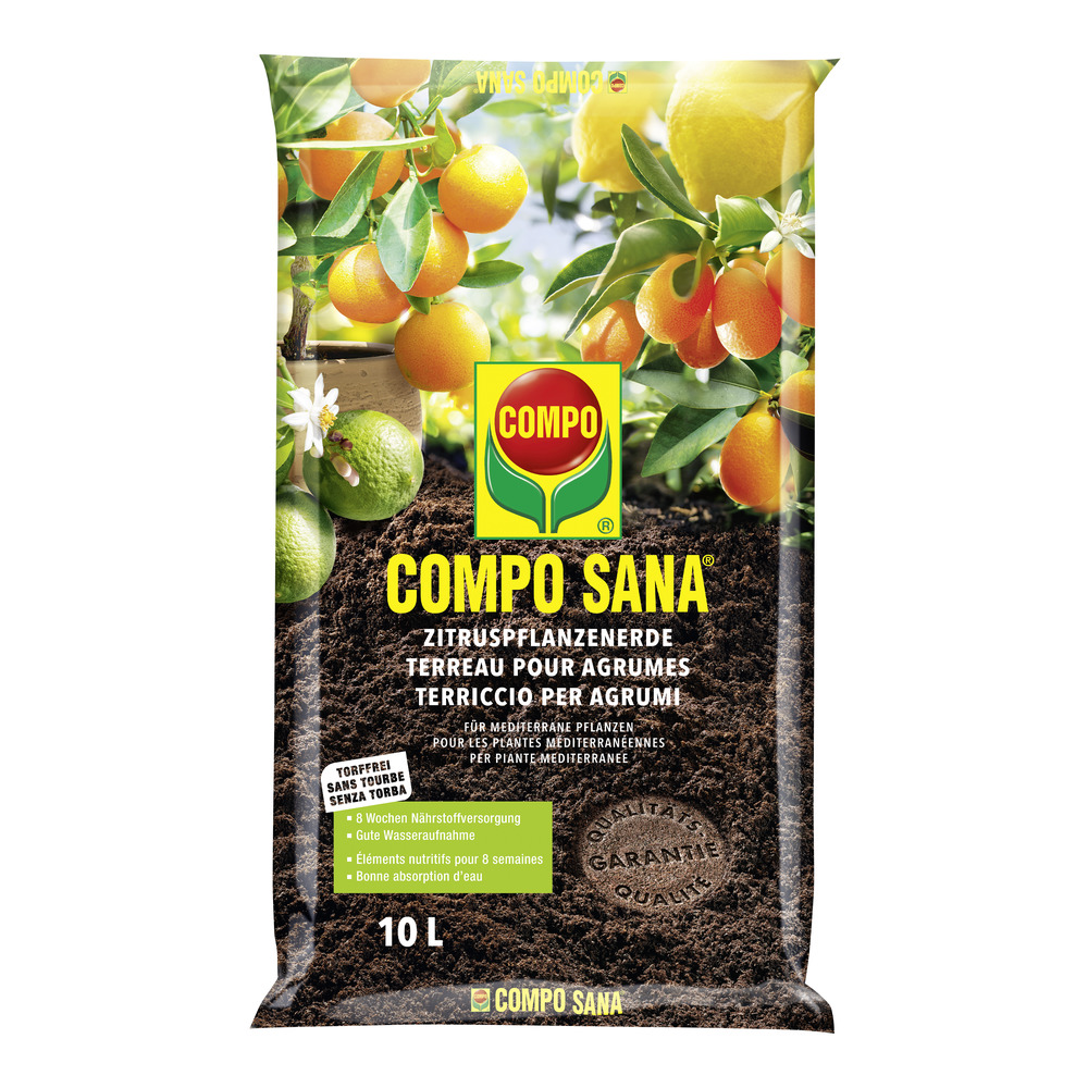 compo image