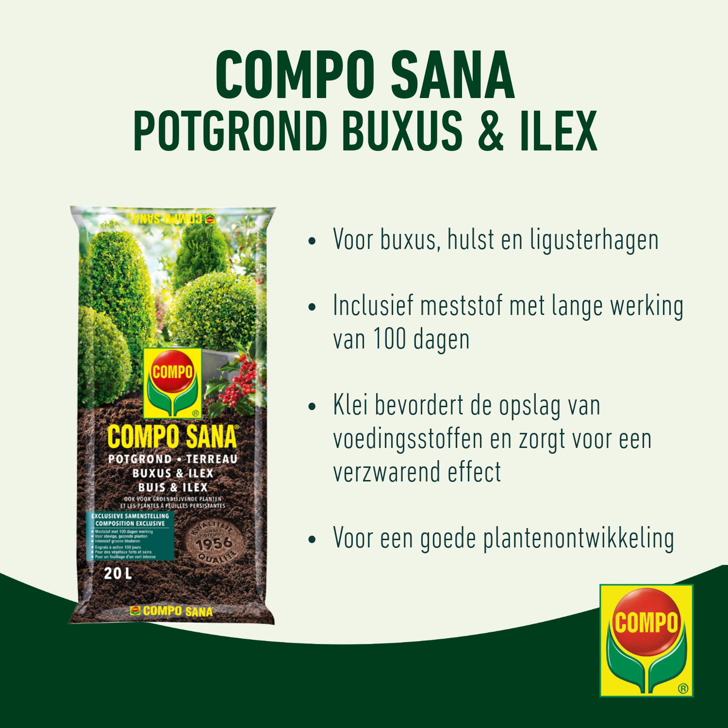 compo image
