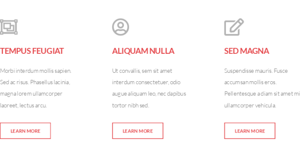 Icon link section