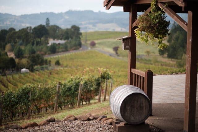 Compris Vineyard is dog friendly hidden gem in Willamette Valley, located just outside of Newberg.