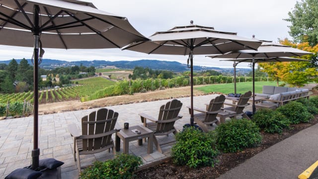 The dog friendly vineyard overlook Adirondack and sectional sofa seating