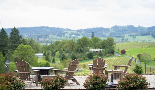 Slide Image. Vineyard overlook seating of Adirondack chairs and fire tables with a view of the green and organic practicing Compris vineyard and the Dundee Hills in the distance.