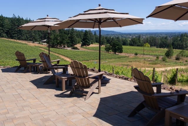 The dog friendly vineyard overlook Adirondack seating with vineyard views at this small producer.