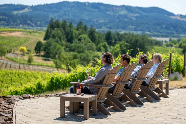 The Compris team facing the vineyard while seating on the vineyard overlook adirondack chairs with glasses of wine in their hands