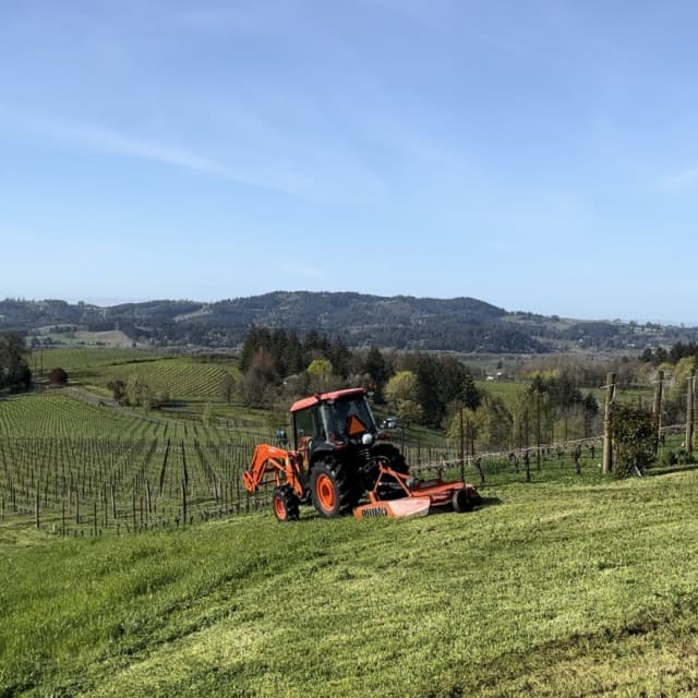 Springtime at Compris Vineyard means Dru gets to mow and enjoy the vineyard views with the Dundee Hills in the distance.