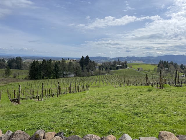 A sunny spring day at Compris Vineyard, overlooking the Willamette Valley and vineyard.