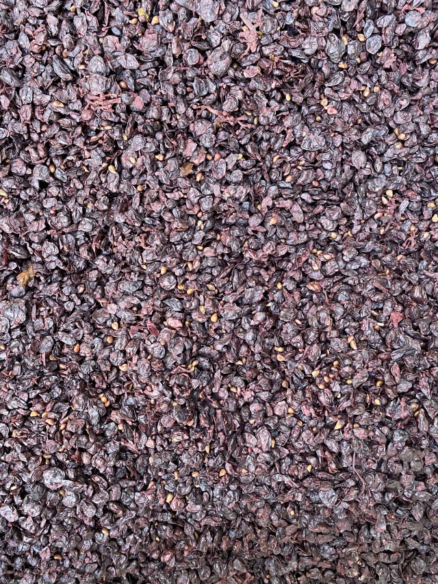 Slide Image. Grapes that have been pressed.