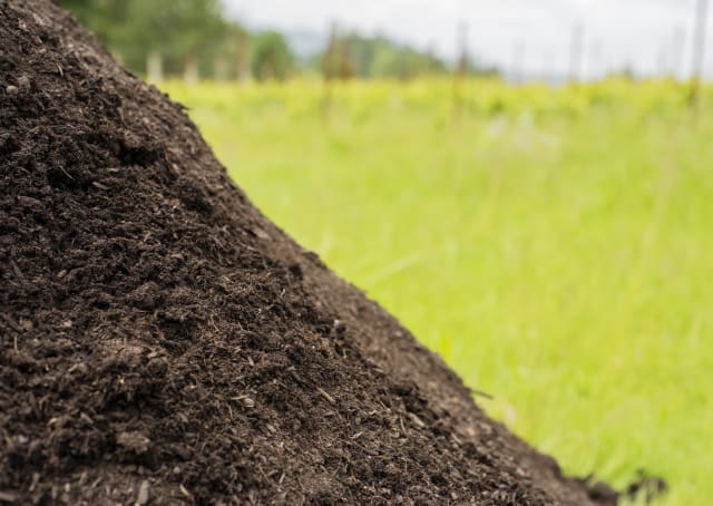 An example of the healthy compost we put together and then spread among our vines at Compris Vineyard.  Great wine starts in the vineyard.