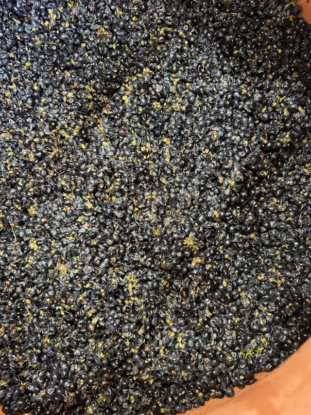 Slide Image. The destemmed grape berries are placed into fermentation vessels, this one being clay, at the boutique Compris Vineyard.
