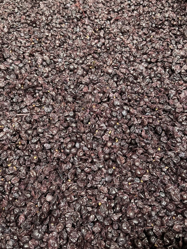 Slide Image. The grape berries go through fermentation and will soon be pressed and the liquid grape juice will go into wooden barrels at the small production Compris Vineyard.