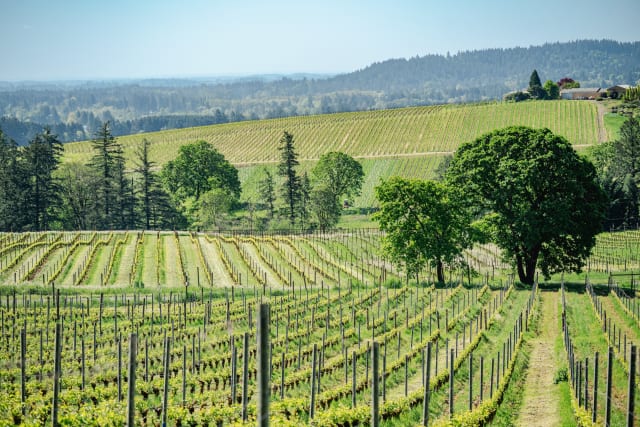 The valley and vineyard view at Compris Vineyard and Winery.