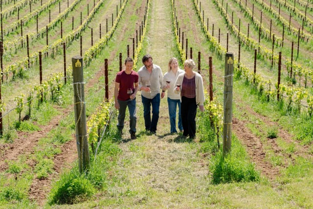 The Compris team walking and talking in the beautiful vineyard.