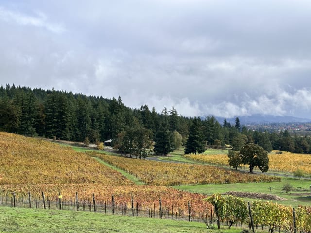 The valley and vineyard view with fall colors at Compris Vineyard and Winery.