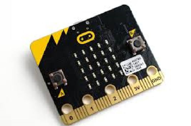 'Programming for Primaries' FREE micro:bit classes